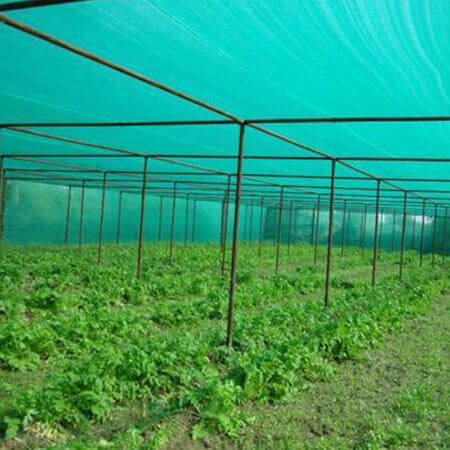 Silpaulin can be used as covers and ground-sheets for various agricultural practices