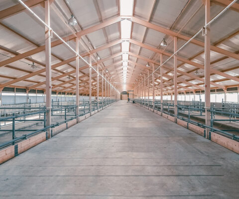 6 Reasons Why PEB Is The Preferred Choice For Industrial Sheds