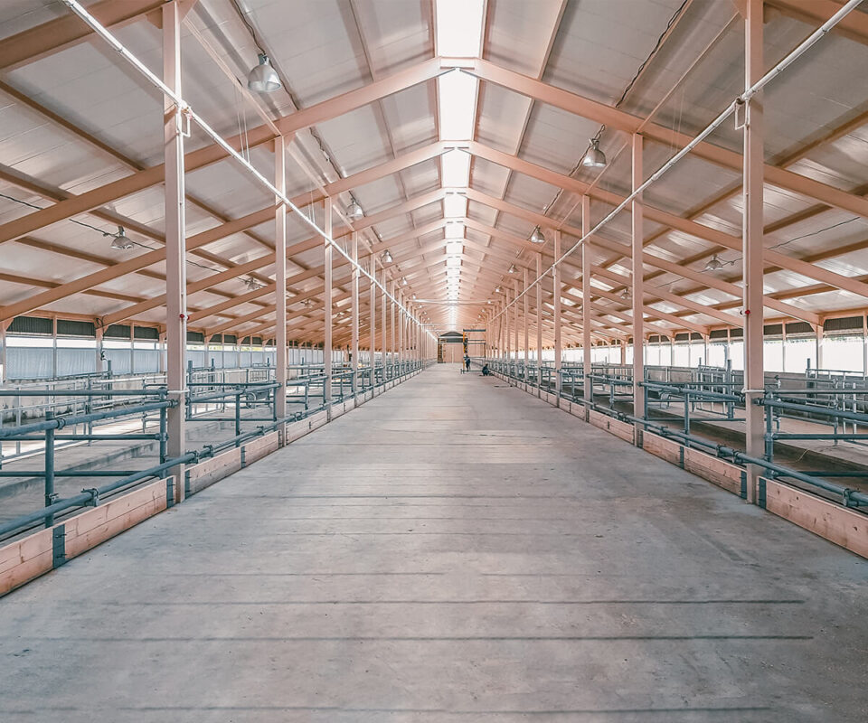 6 Reasons Why PEB Is The Preferred Choice For Industrial Sheds