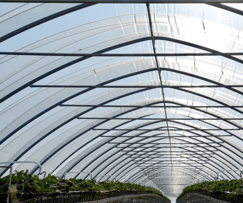 A Beginner’s Guide to Silpaulin Tarpaulin