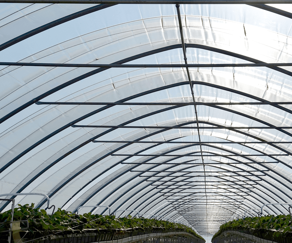 A Beginner’s Guide to Silpaulin Tarpaulin